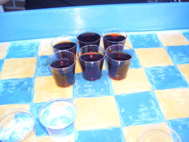 Scheibe umhaengen (39).jpg